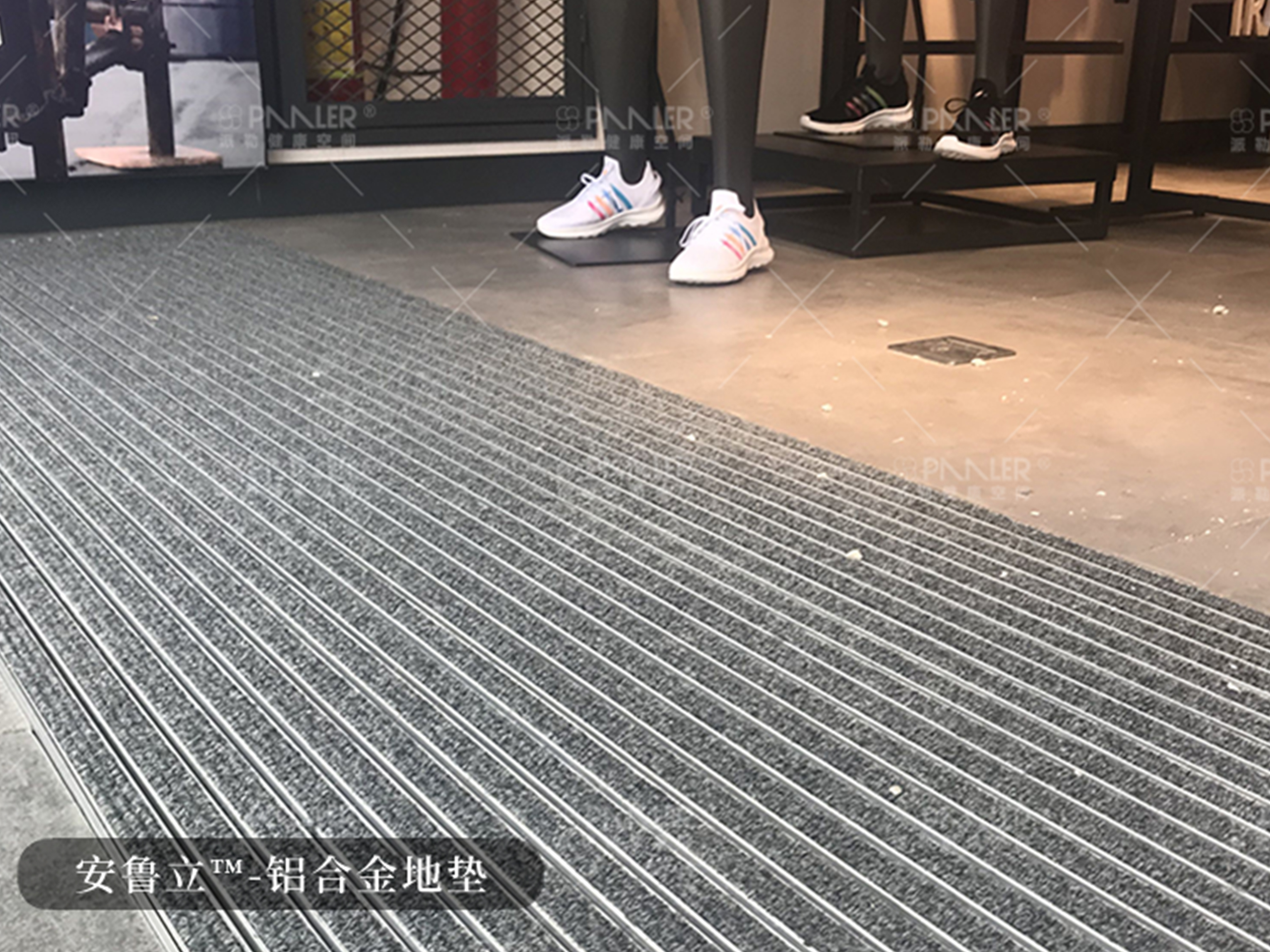 安魯立